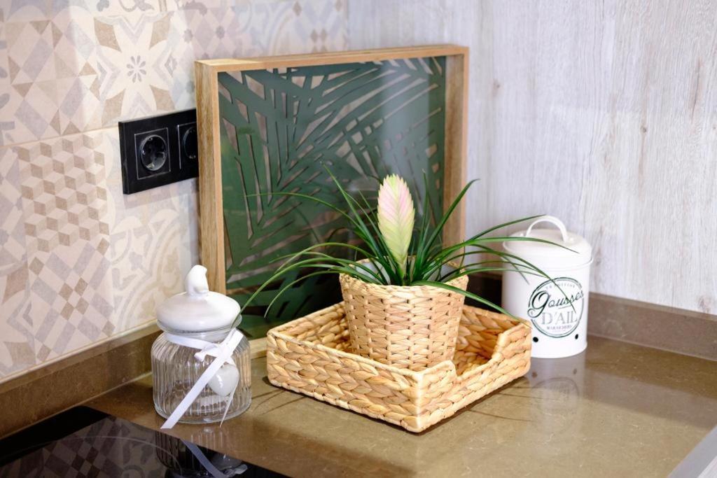 Apartamento Vintage En El Centro De Малага Екстер'єр фото